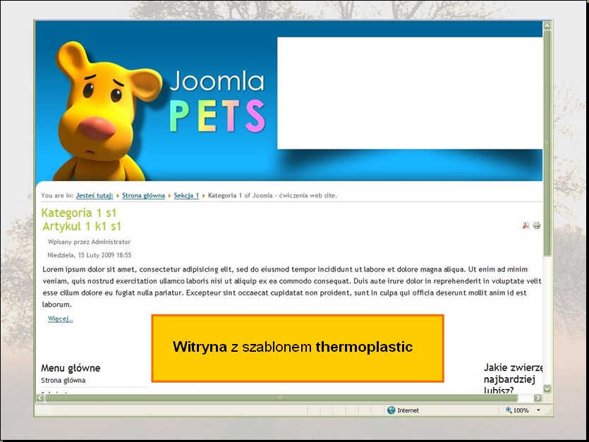 krok 11
